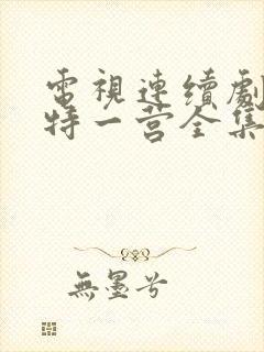 电视连续剧我的特一营全集完整版