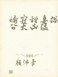 娇宠甜妻总裁老公太凶猛