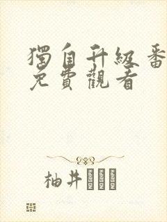 独自升级番外篇免费观看