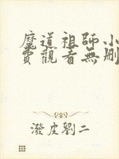 魔道祖师小说免费观看无删减版封面