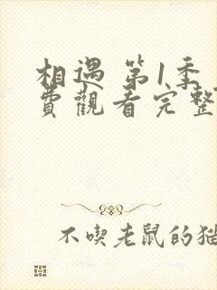 相遇 第1季免费观看完整版高清