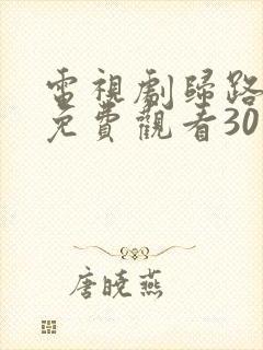 电视剧归路全集免费观看30集完整版