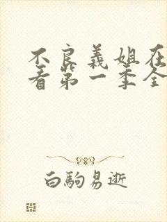 不良义姐在线观看第一季全集