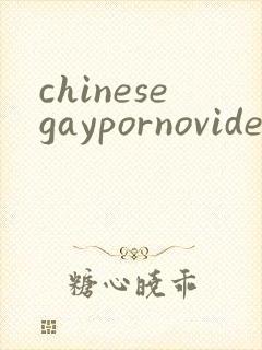chinesegaypornovideos封面
