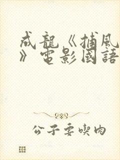 成龙《捕风追影》电影国语在线观看