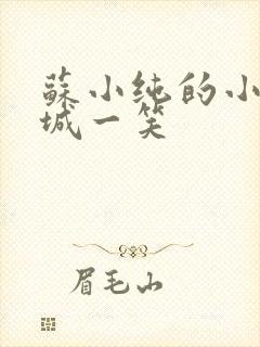 苏小纯的小说倾城一笑