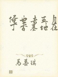 俺也去五月婷婷丁香基地在线封面