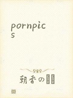 pornpics封面