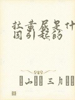 拉黄尿是什么原因引起的封面