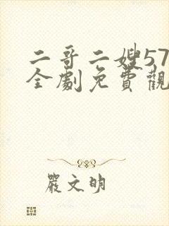 二哥二嫂57集全剧免费观看