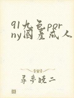 91九色porny国产成人封面