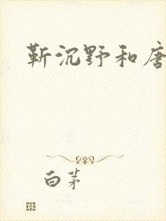 靳沉野和唐栖雾