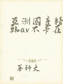 亚洲国产精品日韩av不卡在线