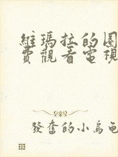 维玛拉的圈套免费观看电视剧全集封面