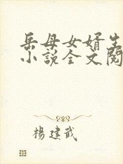 岳母女婿生孩子小说全文阅读封面