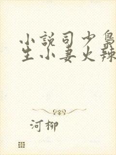 小说司少枭宠重生小妻火辣辣