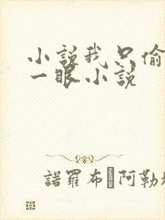 小说我只偷看他一眼小说