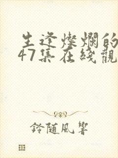 生逢灿烂的日子47集在线观看