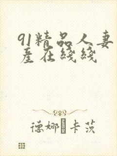 91精品人妻国产在线线