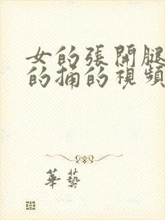 女的张开腿让男的捅的视频