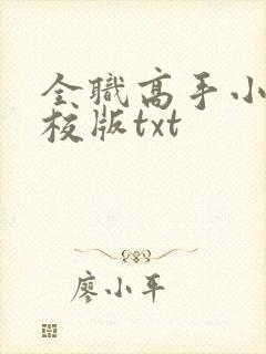 全职高手小说精校版txt