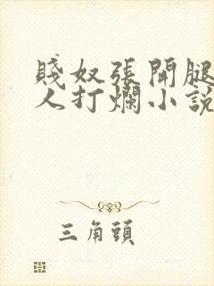 贱奴张开腿给主人打烂小说