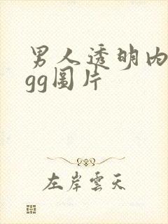 男人透明内裤露gg图片封面