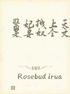 医妃拽上天邪王是妻奴全文免费阅读