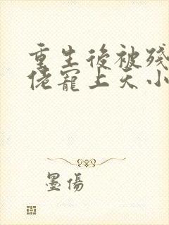 重生后被残疾大佬宠上天小说读