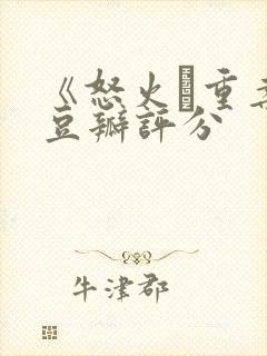 《怒火·重案》豆瓣评分