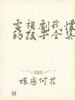 电视剧我怀了你的孩子全集免费观看封面