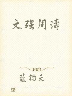文强周涛