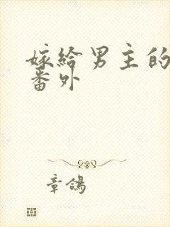 嫁给男主的舅舅番外
