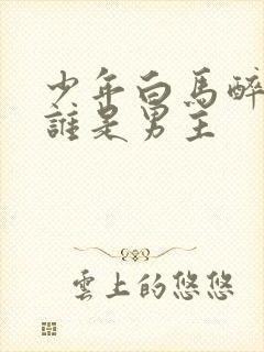 少年白马醉春风谁是男主封面