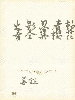 火影忍者动漫观看全集樱花动漫封面