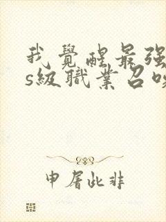 我觉醒最强sss级职业召唤一口气看完封面