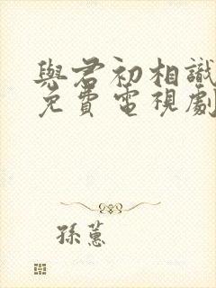 与君初相识在线免费电视剧