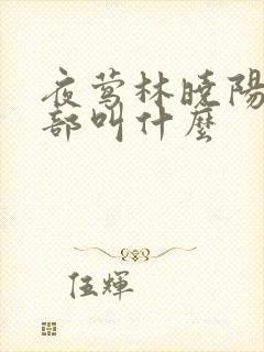 夜莺林晓阳第二部叫什么