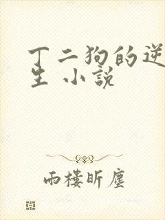 丁二狗的逆袭人生 小说