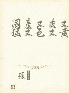 国产又爽又粗又猛又色又黄免封面