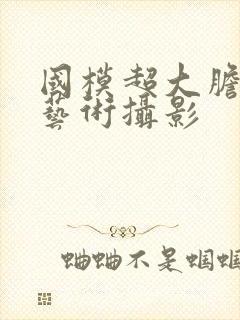 国模超大胆人体艺术摄影封面