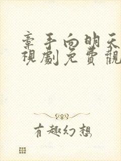 牵手向明天 电视剧免费观看封面