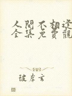 人间不相逢短剧全集免费观看