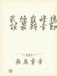 武炼巅峰杨开小说最新章节列表