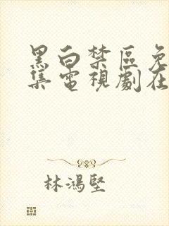 黑白禁区免费全集电视剧在线观看