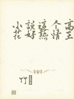 小说这个高冷校花好热情主角封面