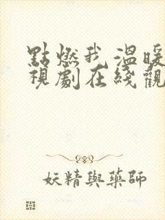 点燃我温暖你电视剧在线观看高清