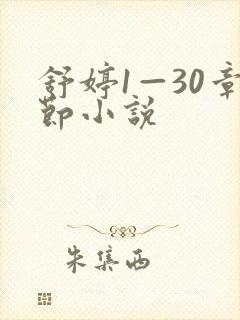 舒婷1—30章节小说