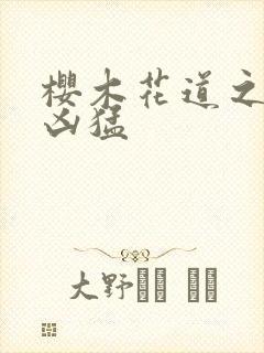 樱木花道之重生凶猛封面