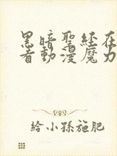 黑暗圣经在线观看动漫魔力看封面